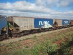 RUMO HPT-031753-5